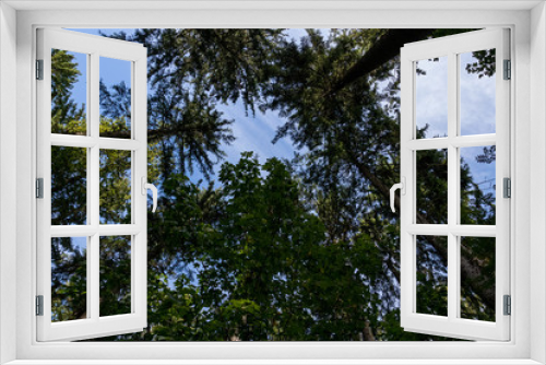Fototapeta Naklejka Na Ścianę Okno 3D - blick in den himmel