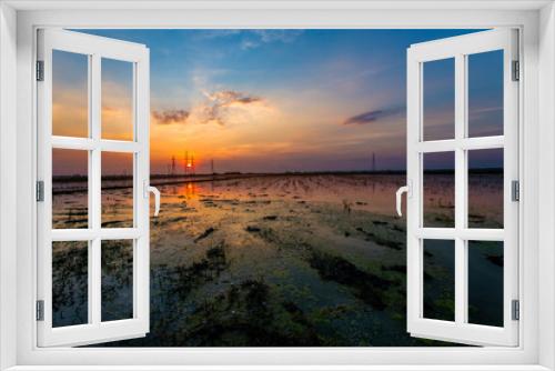 Fototapeta Naklejka Na Ścianę Okno 3D - Thailand, Sky, Sunset, Agricultural Field, Sunrise - Dawn