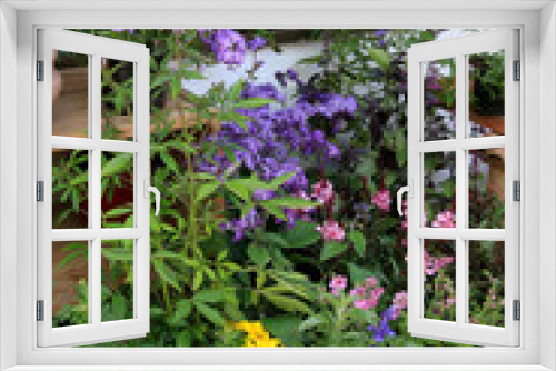 Fototapeta Naklejka Na Ścianę Okno 3D - Bunte Blumen vor Fenster im Garten