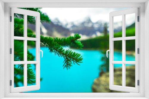 Fototapeta Naklejka Na Ścianę Okno 3D - Evergreen Branch Closeup In Front Of Vast Mountain View Outdoors Scene.