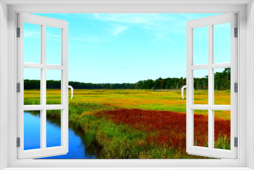 Fototapeta Naklejka Na Ścianę Okno 3D - New Jersey wetlands