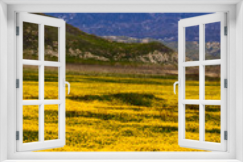 Fototapeta Naklejka Na Ścianę Okno 3D - MARCH 14, 2019 - RIVERSIDE COUNTY, CALIFORNIA, USA - Field of Yellow Flowers and San Bernadino Snowcapped Mountains near Hemet, California