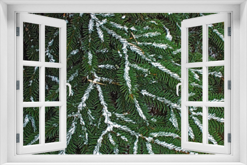 Fototapeta Naklejka Na Ścianę Okno 3D - background - fur-tree branches and a snow