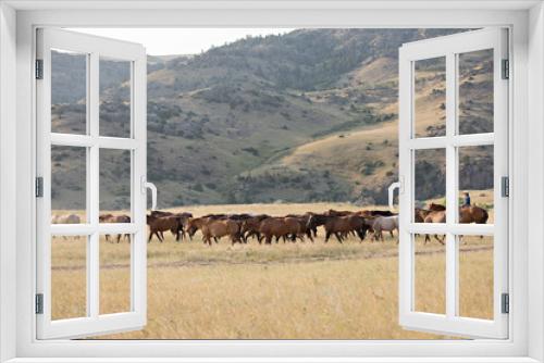 Fototapeta Naklejka Na Ścianę Okno 3D - Horse Herd