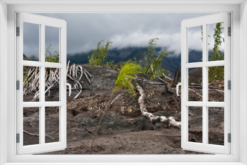Fototapeta Naklejka Na Ścianę Okno 3D - The forest burnt by the Mount Merapi eruption, Java Island