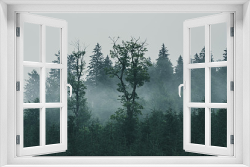 Fototapeta Naklejka Na Ścianę Okno 3D - Misty mountain landscape
