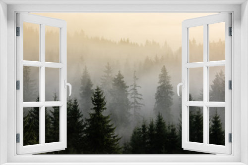 Fototapeta Naklejka Na Ścianę Okno 3D - Dark Spruce Wood Silhouette Surrounded by Fog. 