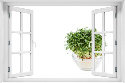 Fototapeta Naklejka Na Ścianę Okno 3D - Gartenkresse