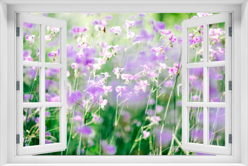 Fototapeta Naklejka Na Ścianę Okno 3D - nature background with blur beautiful flower field in spring.