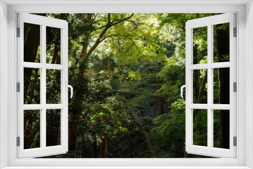 Fototapeta Naklejka Na Ścianę Okno 3D - サザンカの咲く森
