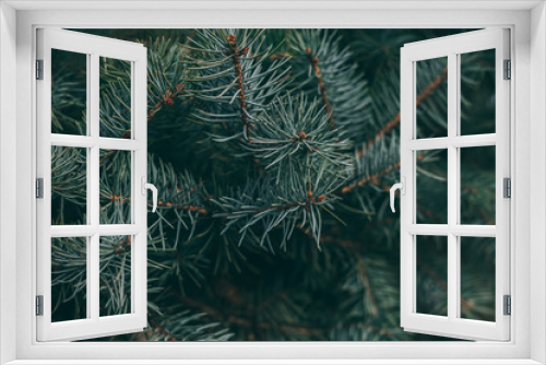 Fototapeta Naklejka Na Ścianę Okno 3D - Fluffy branches of a spruce or fir-tree. Christmas wallpaper or postcard concept.