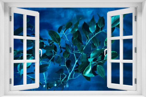 Fototapeta Naklejka Na Ścianę Okno 3D -  Branches with green leaves in a modern vase on a dark blue background. Interior Design.