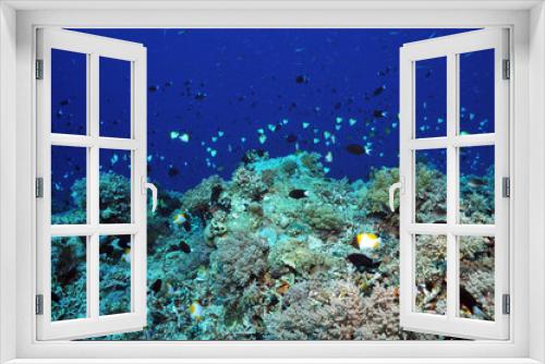 Fototapeta Naklejka Na Ścianę Okno 3D - Am Apo-Reef