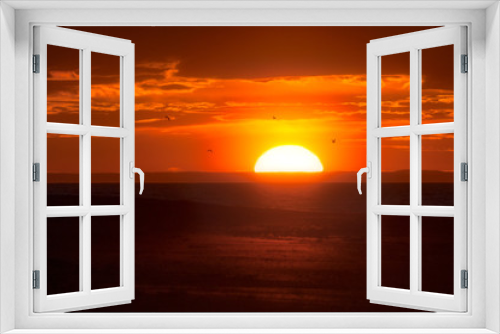 Fototapeta Naklejka Na Ścianę Okno 3D - Big sun vanishing over the horizon in red orange seascape with seagulls