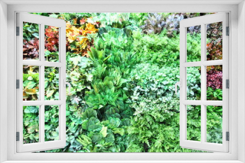 Fototapeta Naklejka Na Ścianę Okno 3D - Green wall with flora combination
