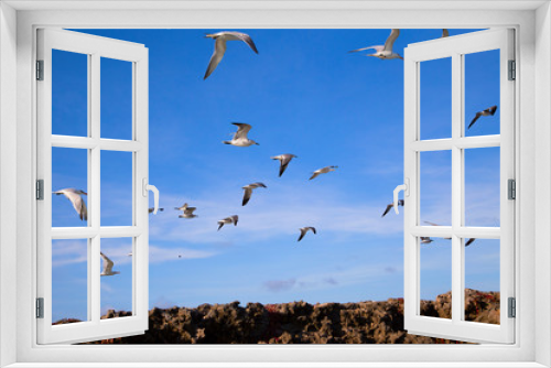 Fototapeta Naklejka Na Ścianę Okno 3D -   Takeoff flock of seagulls against the blue sky. Horizontal.
