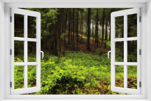 Fototapeta Naklejka Na Ścianę Okno 3D - Leuchtend grünes Gewächse an einem Waldrand
