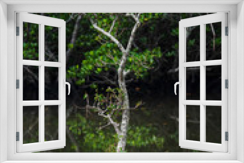 Fototapeta Naklejka Na Ścianę Okno 3D - 吹通川の自然