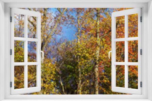 Fototapeta Naklejka Na Ścianę Okno 3D - Colors of Fall