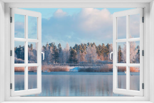 Fototapeta Naklejka Na Ścianę Okno 3D - beautiful landscape early morning river swan frozen forest