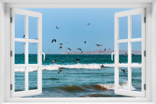 Fototapeta Naklejka Na Ścianę Okno 3D - Flock of seagulls over the sea