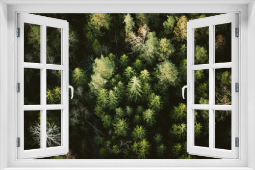 Fototapeta Naklejka Na Ścianę Okno 3D - background of branches of green tree