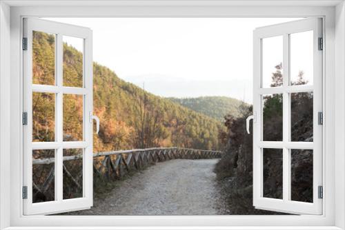 Fototapeta Naklejka Na Ścianę Okno 3D - Foresta