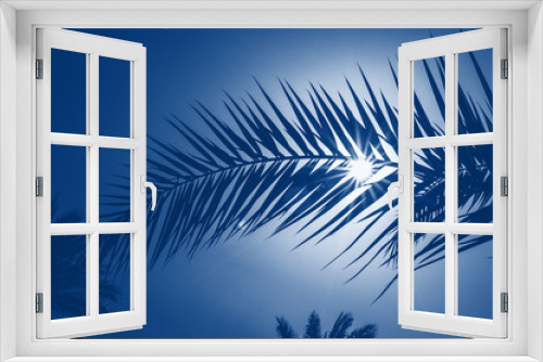 Fototapeta Naklejka Na Ścianę Okno 3D - Classic blue toning trend 2020 color. Palm leaf on a background of the suns rays