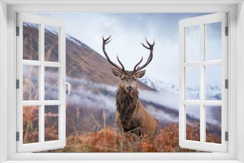 Fototapeta Naklejka Na Ścianę Okno 3D - Monarch Of The Glen