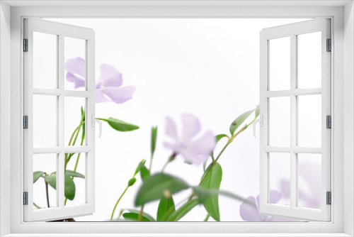 Fototapeta Naklejka Na Ścianę Okno 3D - Immergrün