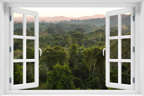 The lush green canopy of the Amazon rainforest seen from an observation tower.