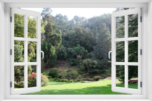Fototapeta Naklejka Na Ścianę Okno 3D - Grüne Vegetation - Park von Monserrate