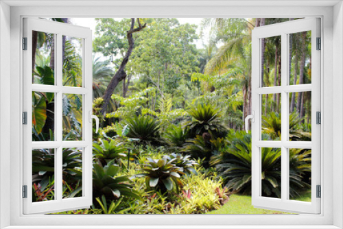 Fototapeta Naklejka Na Ścianę Okno 3D - Árvore