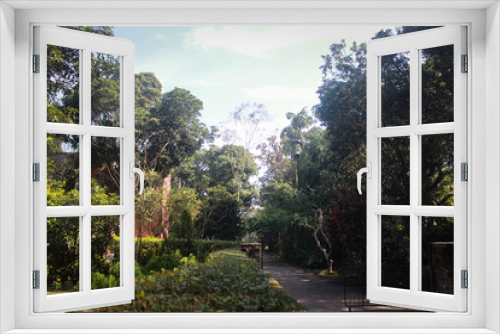 Fototapeta Naklejka Na Ścianę Okno 3D - Garden side view in Bangladesh