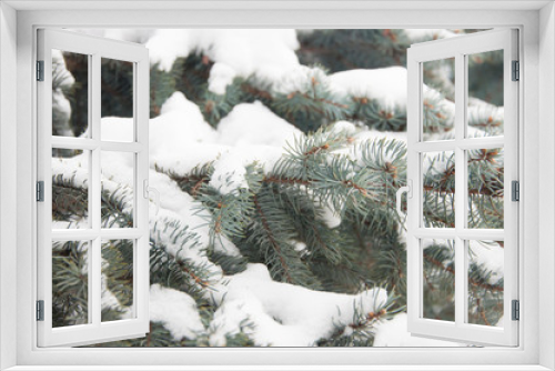 Fototapeta Naklejka Na Ścianę Okno 3D - Christmas winter snowy spruce branch