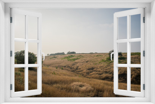 Fototapeta Naklejka Na Ścianę Okno 3D - Hilly grassland in India