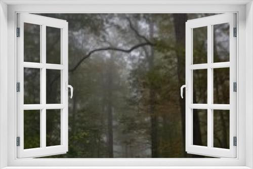 Fototapeta Naklejka Na Ścianę Okno 3D - forest in fog