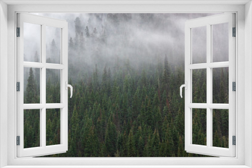 Fototapeta Naklejka Na Ścianę Okno 3D - Forest Fog