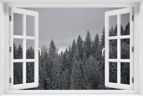 Fototapeta Naklejka Na Ścianę Okno 3D - Winter landscape 