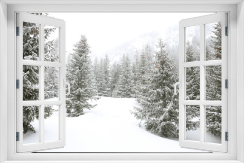 Fototapeta Naklejka Na Ścianę Okno 3D - Winter landscape, snowy winter trees. Winter snowy day scene. Monochromatic winter background, panoramic forest view