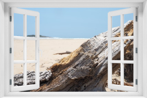 Fototapeta Naklejka Na Ścianę Okno 3D - beach driftwood on sand