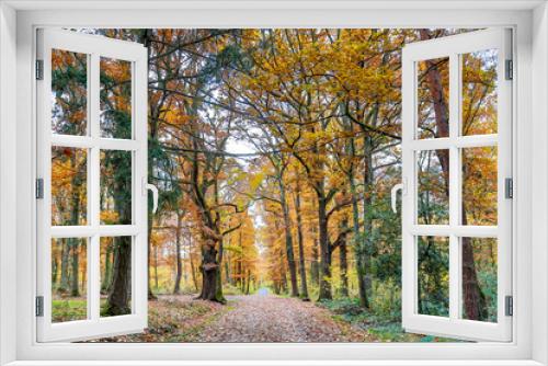 Fototapeta Naklejka Na Ścianę Okno 3D - Autumn and forest