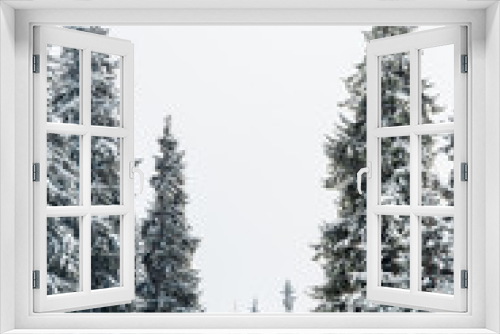 Fototapeta Naklejka Na Ścianę Okno 3D - Scenic view of pine forest with tall trees covered with snow