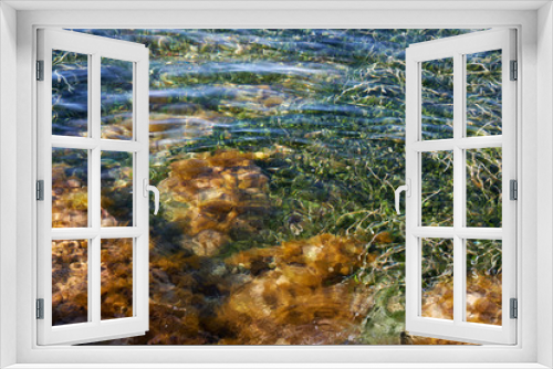 Fototapeta Naklejka Na Ścianę Okno 3D - Seaweeds under water of Mediterranean sea. Cyprus