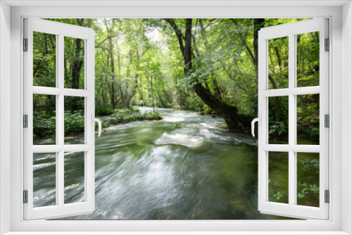 Fototapeta Naklejka Na Ścianę Okno 3D - Swift river in the green forest