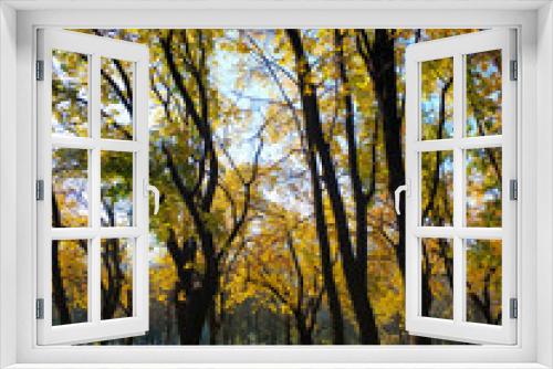 Fototapeta Naklejka Na Ścianę Okno 3D - Yellow autumn park. beauty of nature a