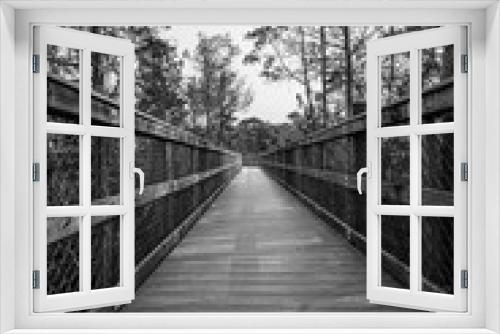 Fototapeta Naklejka Na Ścianę Okno 3D - Black and white of a wooden walking path used for hiking through the forest 