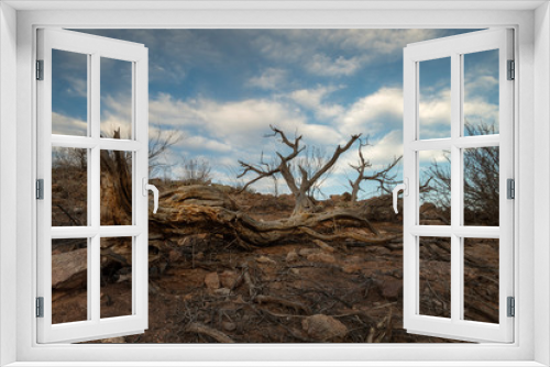 Fototapeta Naklejka Na Ścianę Okno 3D - Drought-hit desert, Outback, Australia