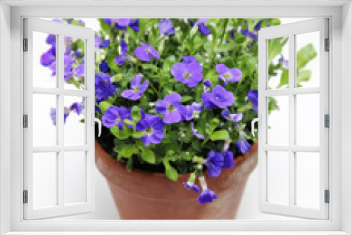 Fototapeta Naklejka Na Ścianę Okno 3D - balkonpflanze
