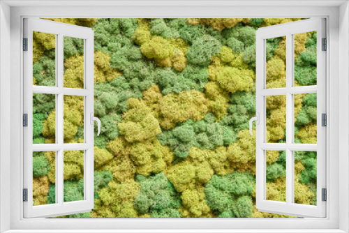 Fototapeta Naklejka Na Ścianę Okno 3D - Stabilized moss texture background wall